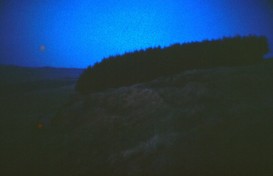natur 5.jpg